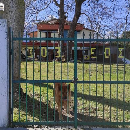 Summit Zero Hostel Plaka Litochorou Exterior photo